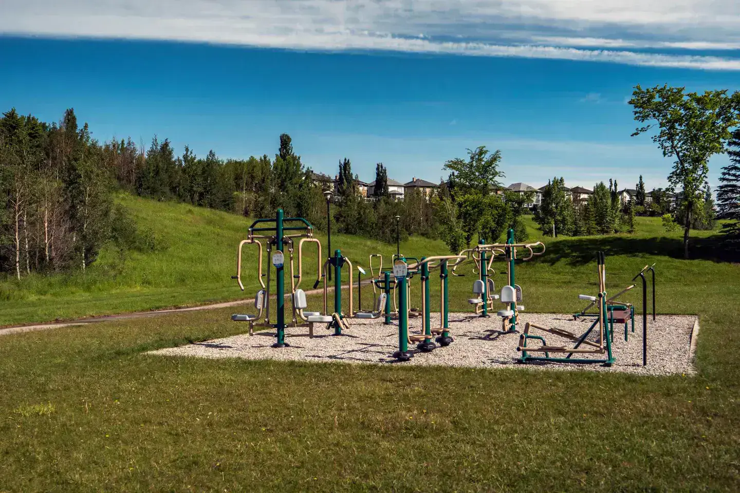 Arbour Lake property and community context
